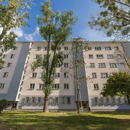 Bright Młynarska Perfect For Remote Work By Renters