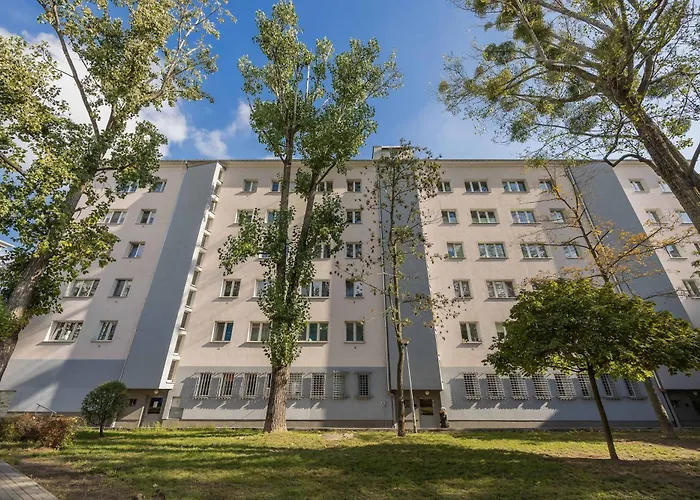 Bright Młynarska Perfect For Remote Work By Renters